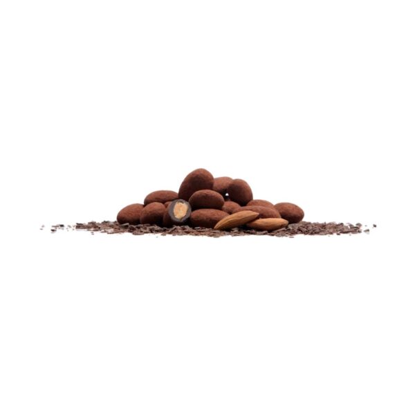 Pralino chocolat poudré™ – 1kg