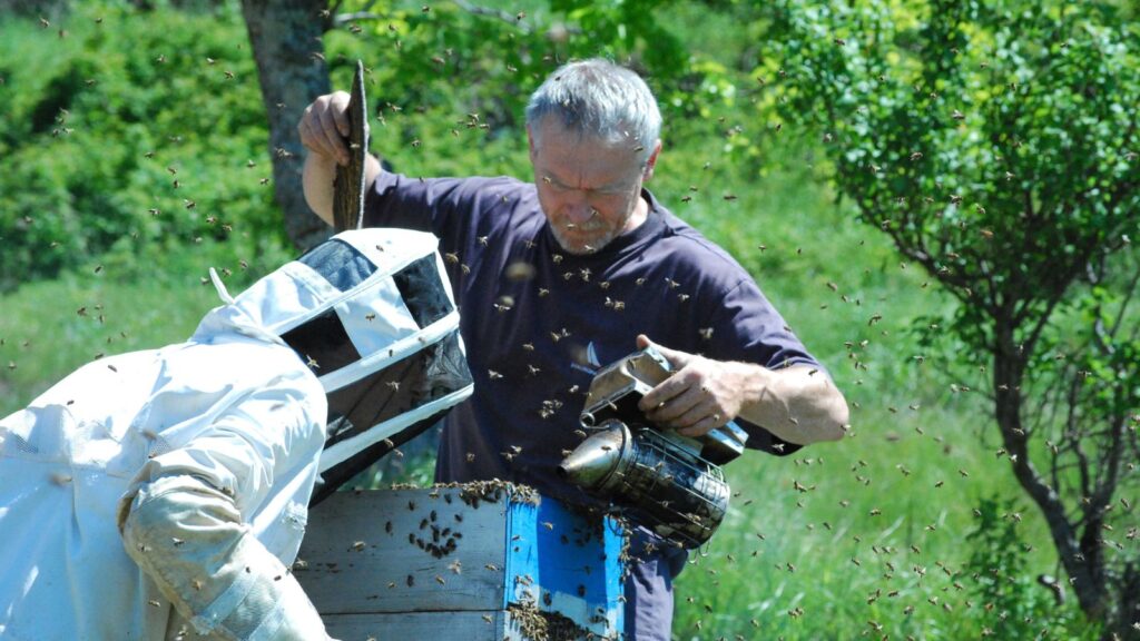 Nachhaltigkeit Produzenten