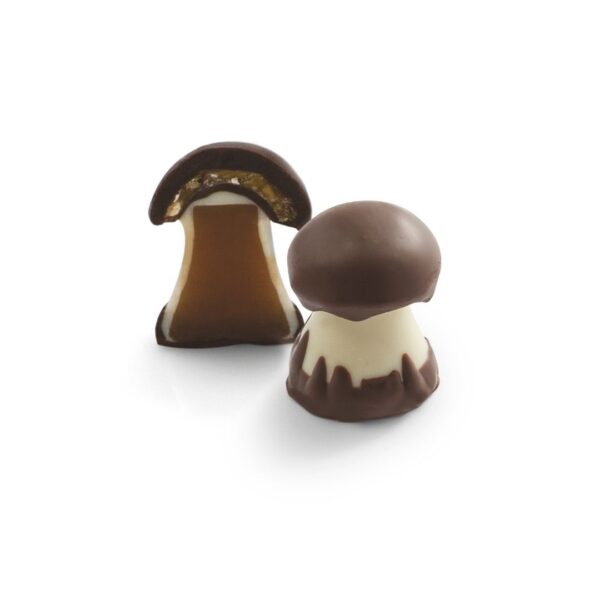 Champignon Caramel – 1kg