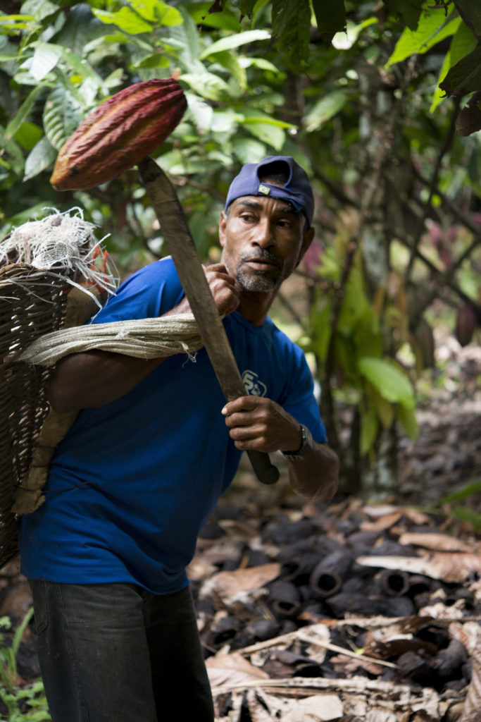 2018 Cluizel Bresil Bahia Ilheus Azenda Riachuelo © Alain Bujak 6590